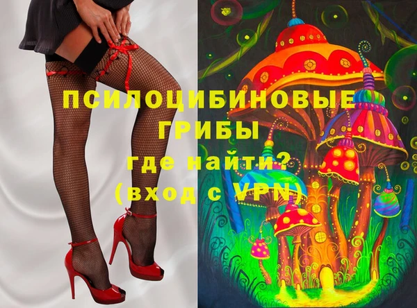 мдпв Алексин